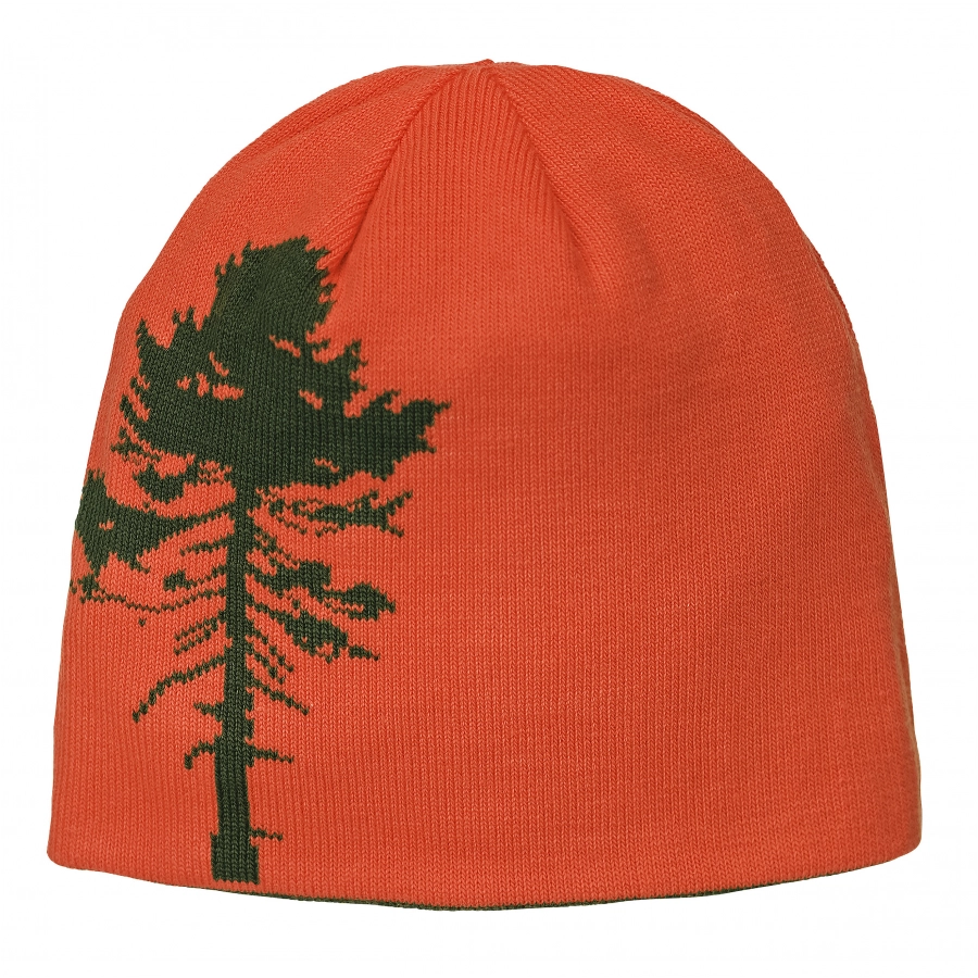 Czapka męska dwustronna Pinewood Tree 2/2