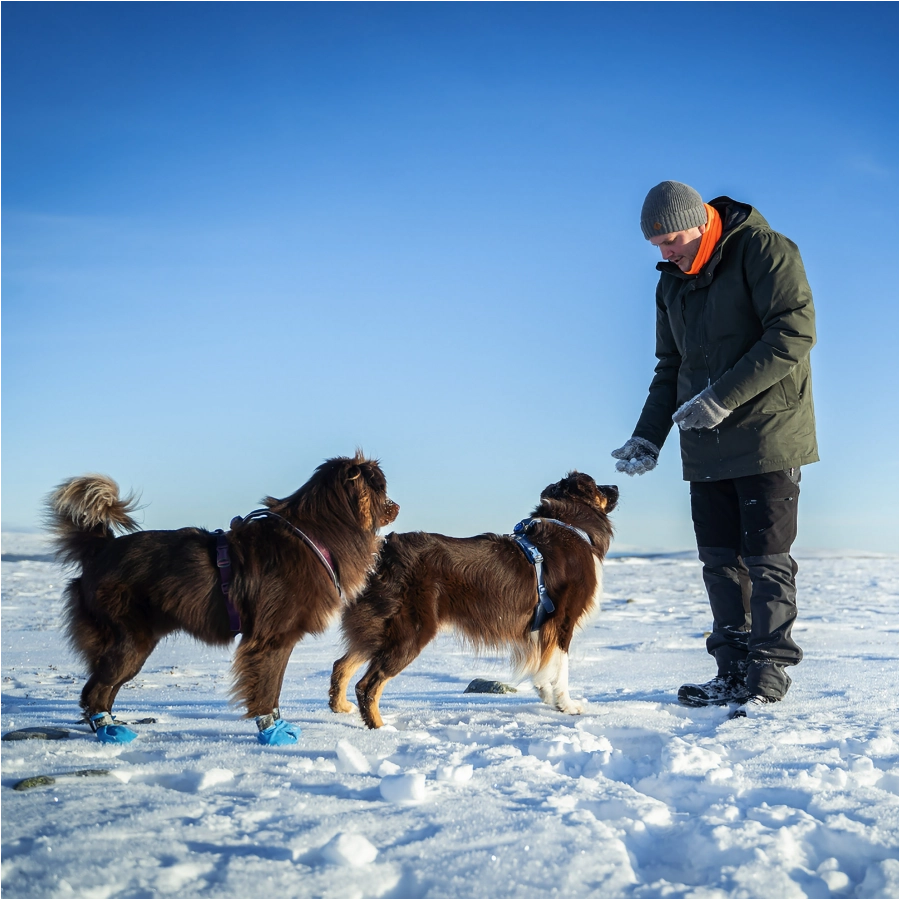 Kołnierz unisex Pinewood z polaru pomarańczowy 4/7